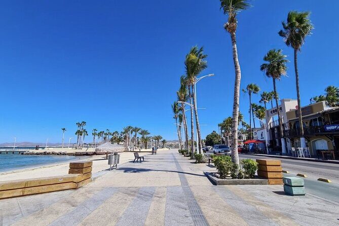 Balandra Beach Bliss Your Baja Day Adventure from Cabo - What Sets This Tour Apart?
