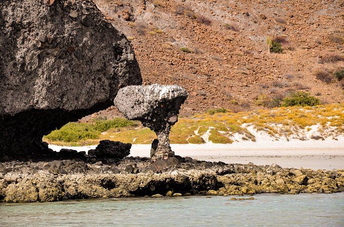 Balandra Beach Escape Snorkel & Wildlife Roundtrip Pichilingue - The Practicalities