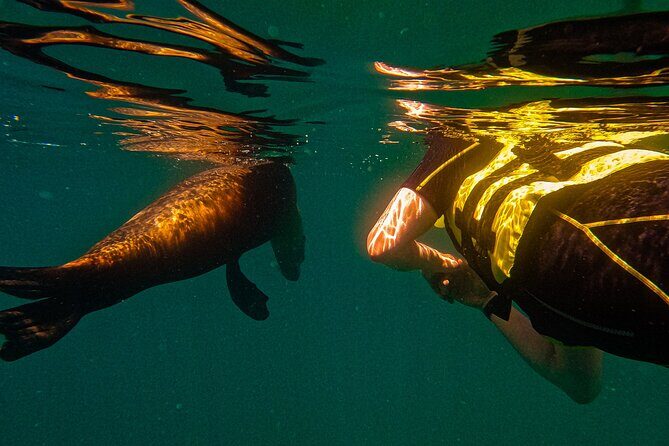 Balandra Beach Escape with Snorkeling and Wildlife Watching - Final Thoughts