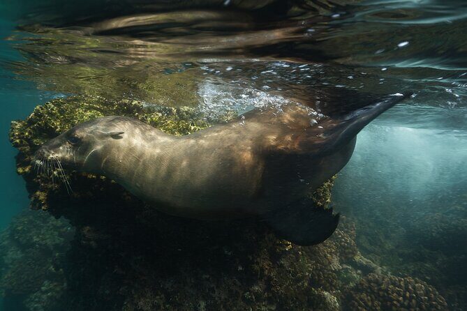 Balandra Private Boat Tour - Final Thoughts