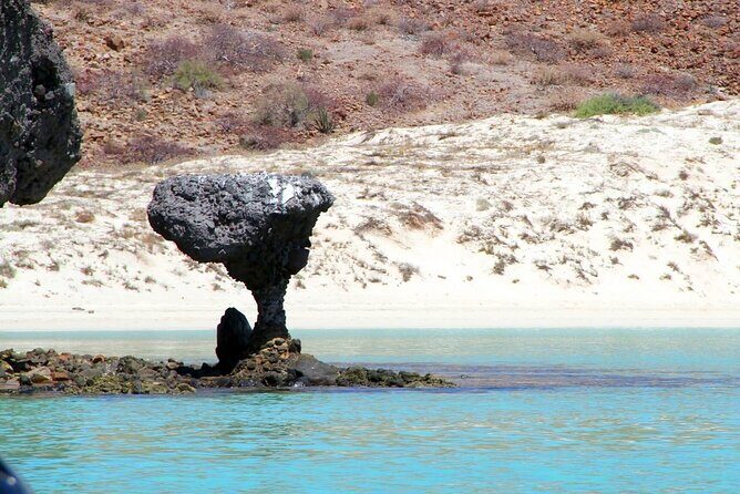 Balandra with Sea Lions for Cruise Passengers - Frequently Asked Questions