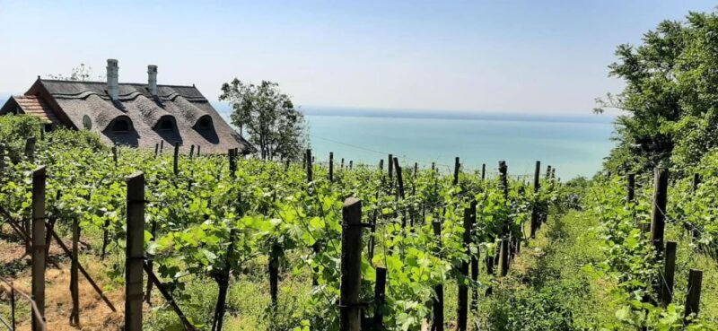 Balaton Full-Day Tour from Budapest - Who Will Love This Tour?