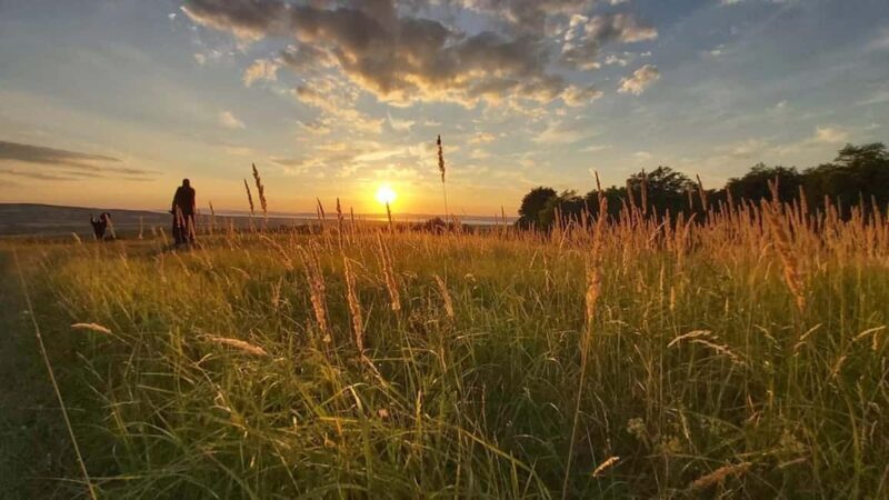 Balaton: Sunset Safari & Solar Telescope Experience for Two - Key Points