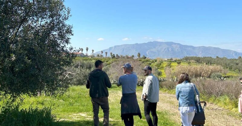 Balestrate: Olive Grove Tour with Wines & Olive Oil Tasting - Final Thoughts