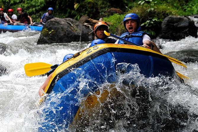 Bali 10 Kilometers Extreme Ayung River Rafting with Lunch - Who Would Love This Tour?