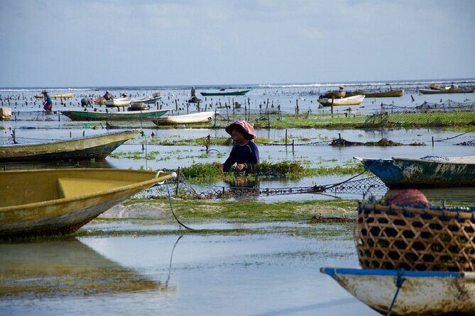Bali 2 Days and 1 Nights of Nusa Penida and Lembongan Tour - Why This Tour Offers Great Value