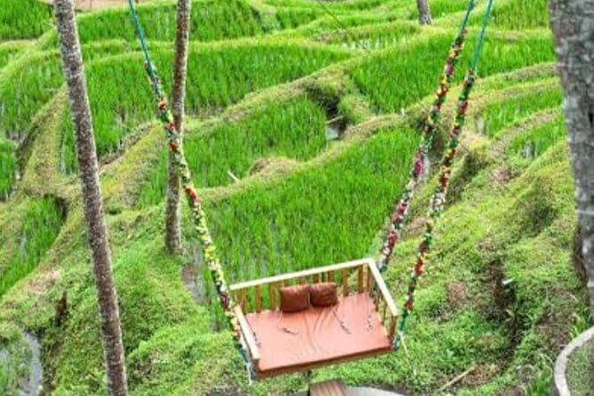 Bali 4 Days Guided Tour with Accommodation - FAQs