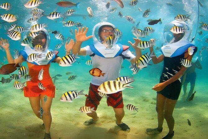 Bali Activity: Bali Sea Walking in Nusa Dua Ocean - Who Is This Tour Best For?