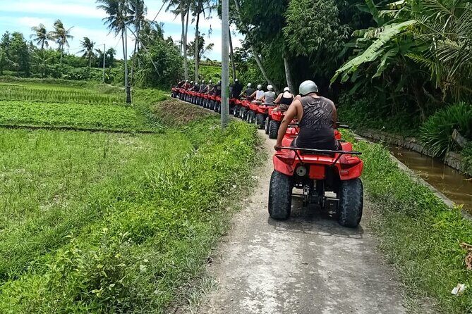 Bali Adventure via Quad Bike Ride ATV Solo Drive in Ubud Private Experience - The Sum Up