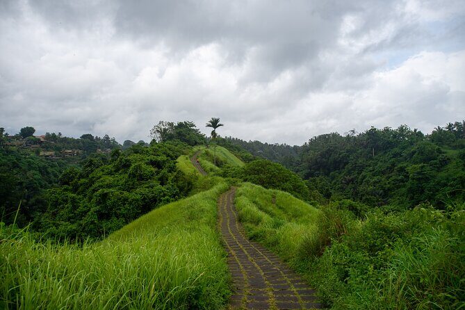 Bali Airport Pickup Transfer to Ubud Area (Private) - In-Depth Review of the Experience