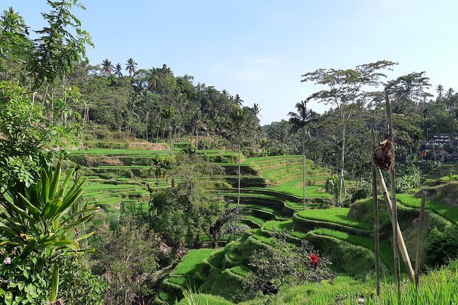 Bali All Inclusive Tour, Ubud Rice Terrace, Temple and Volcano - FAQ