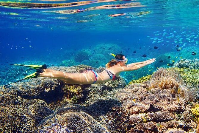 Bali Amazing Beaches Tour - Practical Considerations and Tips