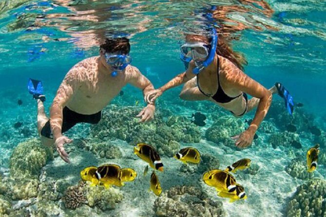 Bali ATV Blue Lagoon Snorkeling Private Guided Tour Free WiFi - What We Loved About This Tour