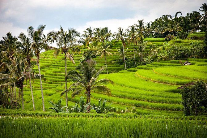 Bali ATV Quad Bike with Bedugul Lake Temple and Tanah Lot Sunset Tour - FAQ