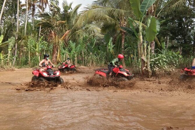 Bali ATV Quadbike Through Gorilla Face Cave - Summary