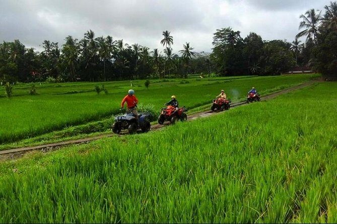Bali ATV Ride Tour In Ubud Include Transport - Final Thoughts