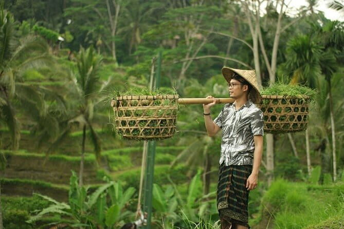 Bali Ayung River Rafting and Bali Swing Packages - Who Would Love This Tour?