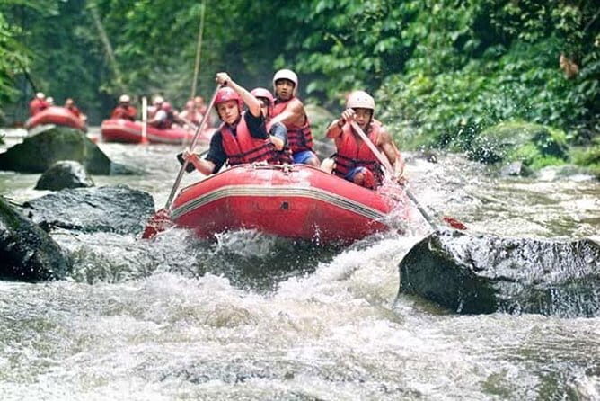 Bali Ayung River Rafting, Rice terraces and Ubud Monkey Forest Tour - An In-Depth Look at the Bali Ayung River Rafting, Rice Terraces, and Monkey Forest Tour
