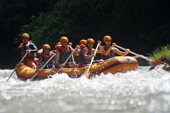 Bali Ayung River White Water Rafting with Transport - Who Is This Tour Best For?
