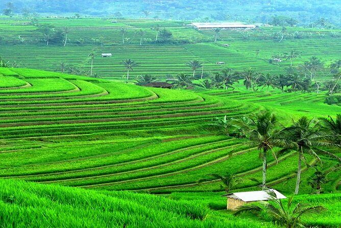 Bali: Bedugul Lake Temple, Banyumala Waterfall, UNESCO Rice Field - Convenient Return and Flexibility