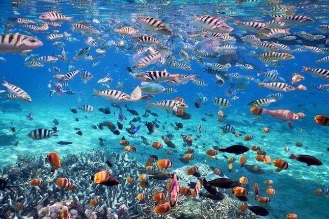 bali best destination - Special packed trip to nusa penida - FAQ