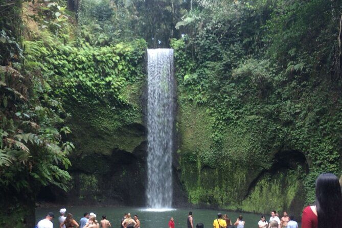 Bali best waterfall - Why This Tour Works for You