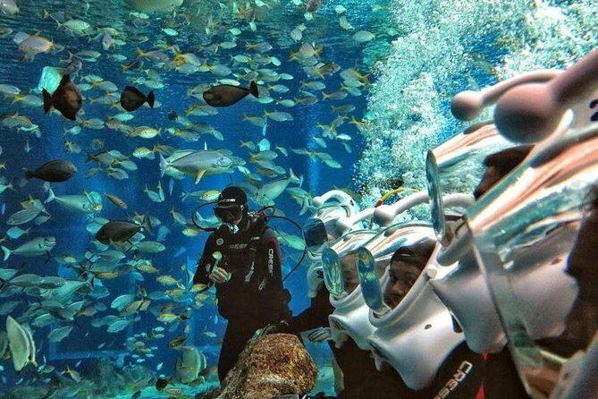 Bali Best Watersport Sea walker,Parasailing adventure,Jet sky - Why Travelers Love This Tour