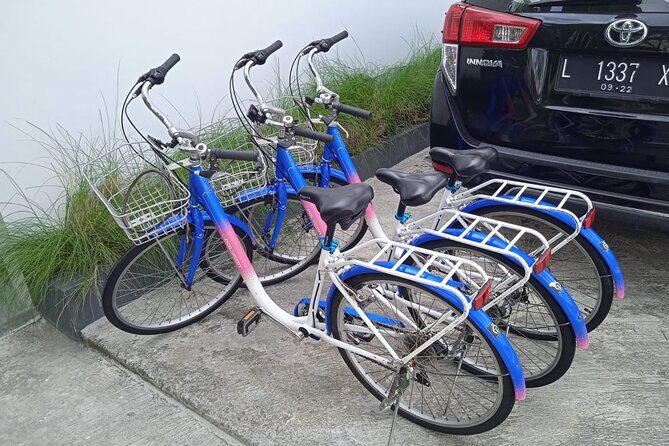 Bali Bicycle Rental - What to Expect from Bali Bicycle Rental