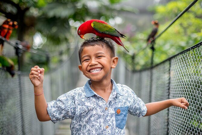 Bali Bird Park Admission Ticket - Exploring Bali Bird Park: A Deep Dive