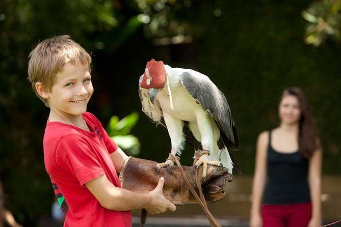 Bali Bird Park Admission Ticket with Hotel Transfer - Introduction: What Makes Bali Bird Park Worth Considering?