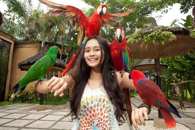 Bali Bird Park Admission Ticket with Hotel Transfer - Final Thoughts: Is the Bali Bird Park Tour Worth It?