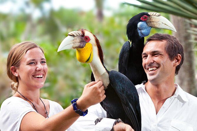 Bali Bird Park Entrance Tickets - Final Thoughts: Is Bali Bird Park Worth It?