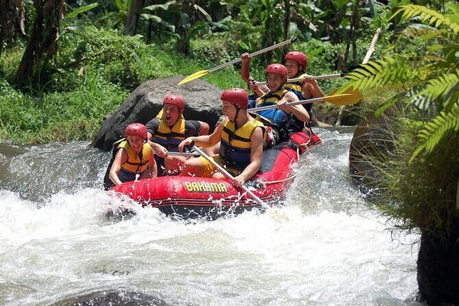 Bali Blue Lagoon Snorkeling and Waterfall Day Tour with Lunch - Who’s This Tour Best For?