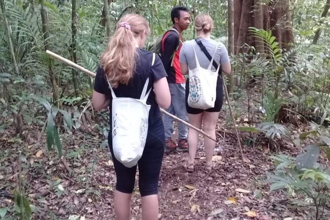Bali Blue Lagoon Snorkeling and Waterfall Day Tour with Lunch - Final Thoughts