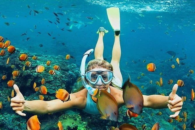 Bali : Blue Lagoon Snorkeling combine with Bali Swing in Ubud - Who Should Book This Tour?