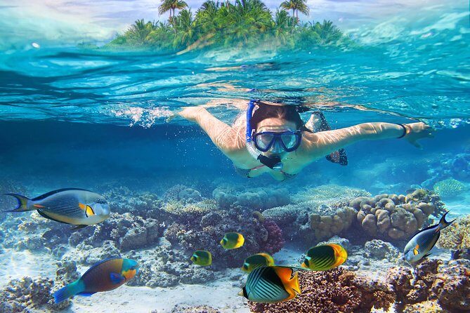 Bali Blue Lagoon Snorkeling Experience - Why Choose the Bali Blue Lagoon Snorkeling Experience?