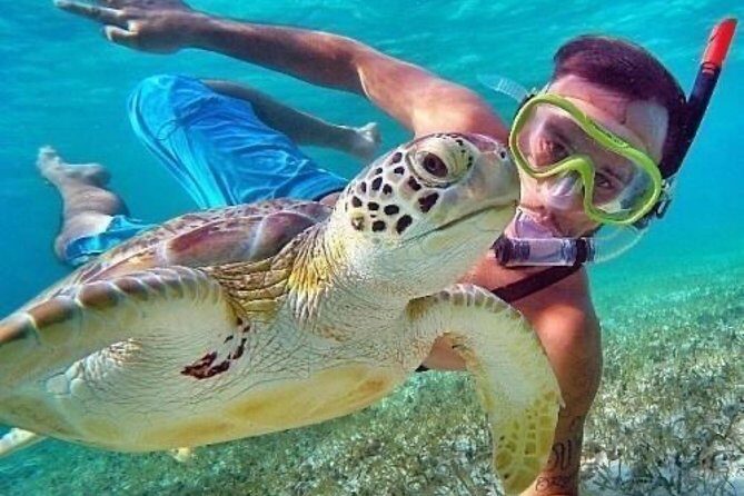 Bali Blue Lagoon Snorkeling - Lunch and Transport All Inclusive - Exploring the Tour in Detail