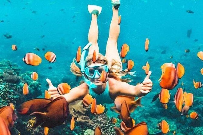 Bali Blue Lagoon Snorkeling - Lunch and Transport All Inclusive - Pricing and Value Analysis