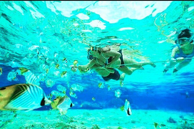 Bali Blue Lagoon Snorkeling - Lunch and Transport All Inclusive - FAQs