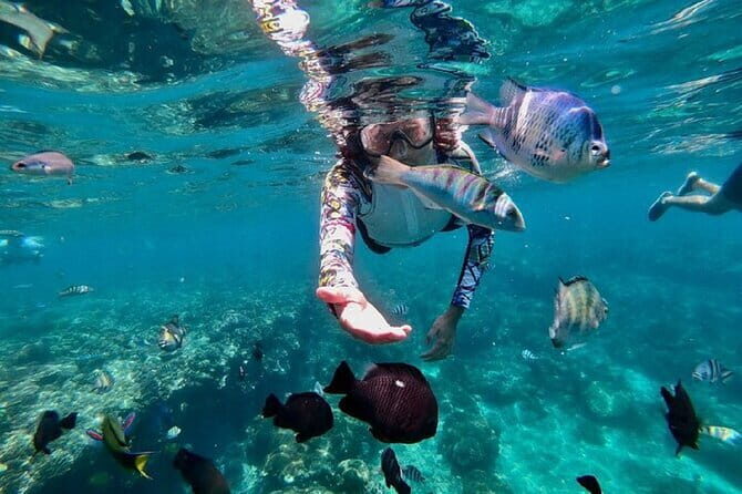 Bali Blue Lagoon Snorkeling Tour - Who Is This Tour Best For?