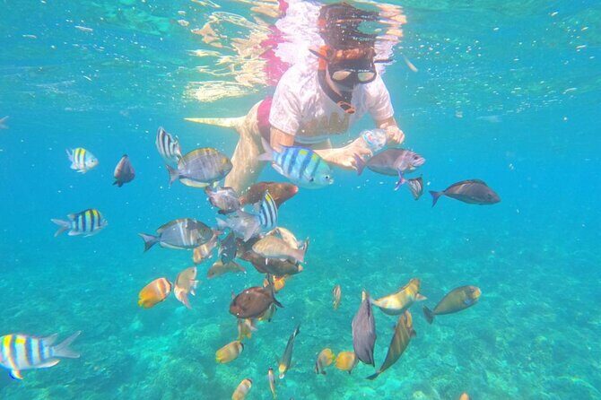 Bali Blue Lagoon Snorkeling with Optional Sightseeing - Exploring Bali’s Blue Lagoon Snorkeling Tour: A Balanced Look