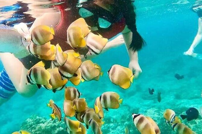 Bali Blue Lagoon Snorkeling with Optional Sightseeing - Who Will Love This Tour?