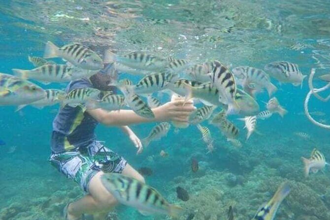 Bali Blue Lagoon Snorkeling with Optional Sightseeing - Final Thoughts: Is It Worth It?