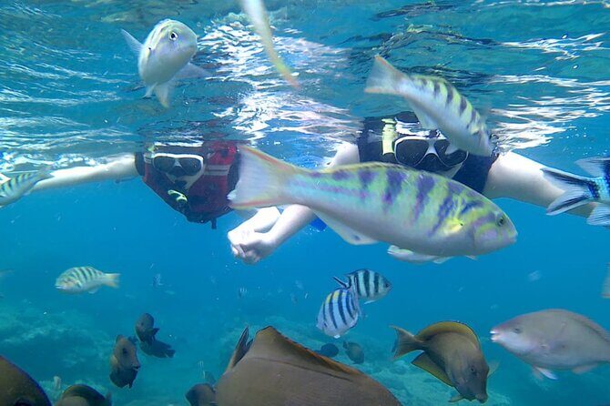 Bali Blue Lagoon Snorkeling with Optional Sightseeing - FAQ