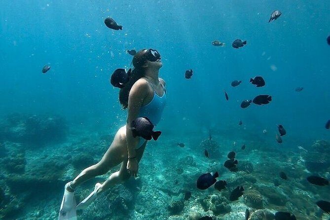 Bali Blue Lagoon Snorkeling with optional Tours and Activity - Key Points
