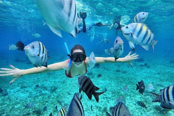 Bali Blue Lagoon Snorkeling with optional Tours and Activity - FAQ