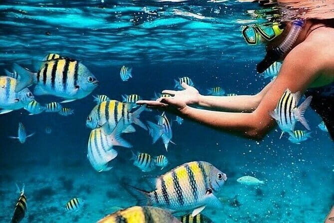 Bali Blue Lagoon Snorkeling with Waterfalls Tour - all included - Key Points