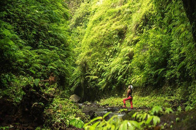 Bali Breathtaking Adventure: Arjuna Gorge Walk - The Experience’s Strictly Limited Access