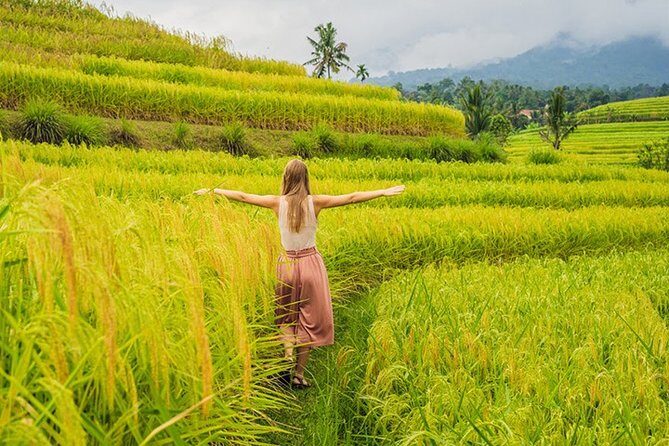 Bali Budget 5 Days, Tours & Air Port Transfers - Key Points