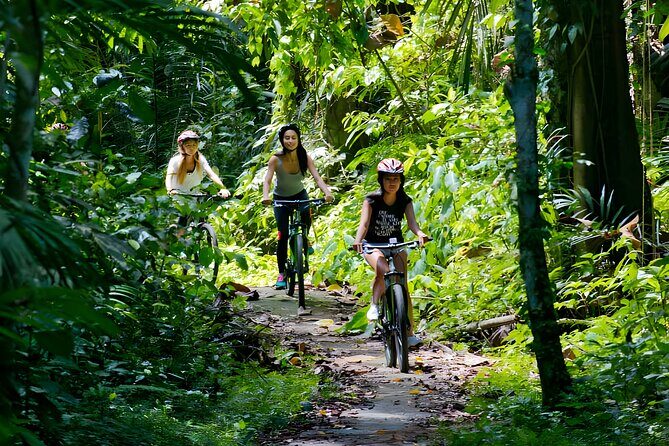 Bali Buggy and Ayung Rafting Packages - An In-Depth Look at the Tour Experience